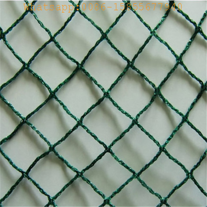 HDPE agriculture crop protection anti bird netting anti-bird net