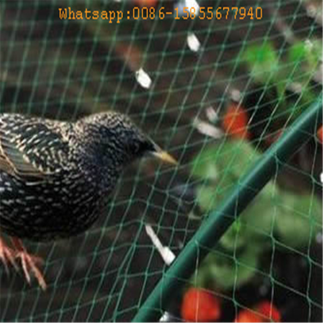 100% عذراء HDPE الزراعية لمكافحة الطيور المعاوضة