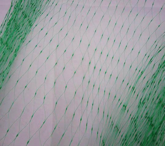 UV-stabilisiertes Anti Vogel Net für den Pflanzenschutz, Weinberg