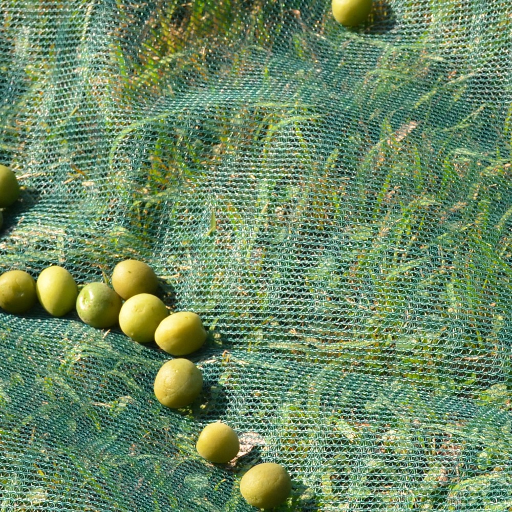 neto de oliva, Red Recolectora de Aceitunas para uso Agrícola
