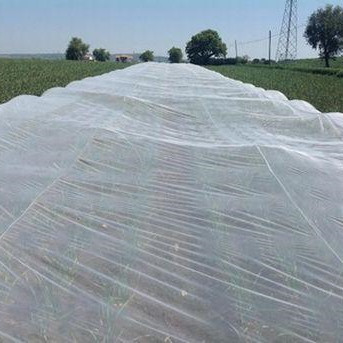 Сельскохозяйственные Сетки для плетения против насекомых, нетто против насекомых