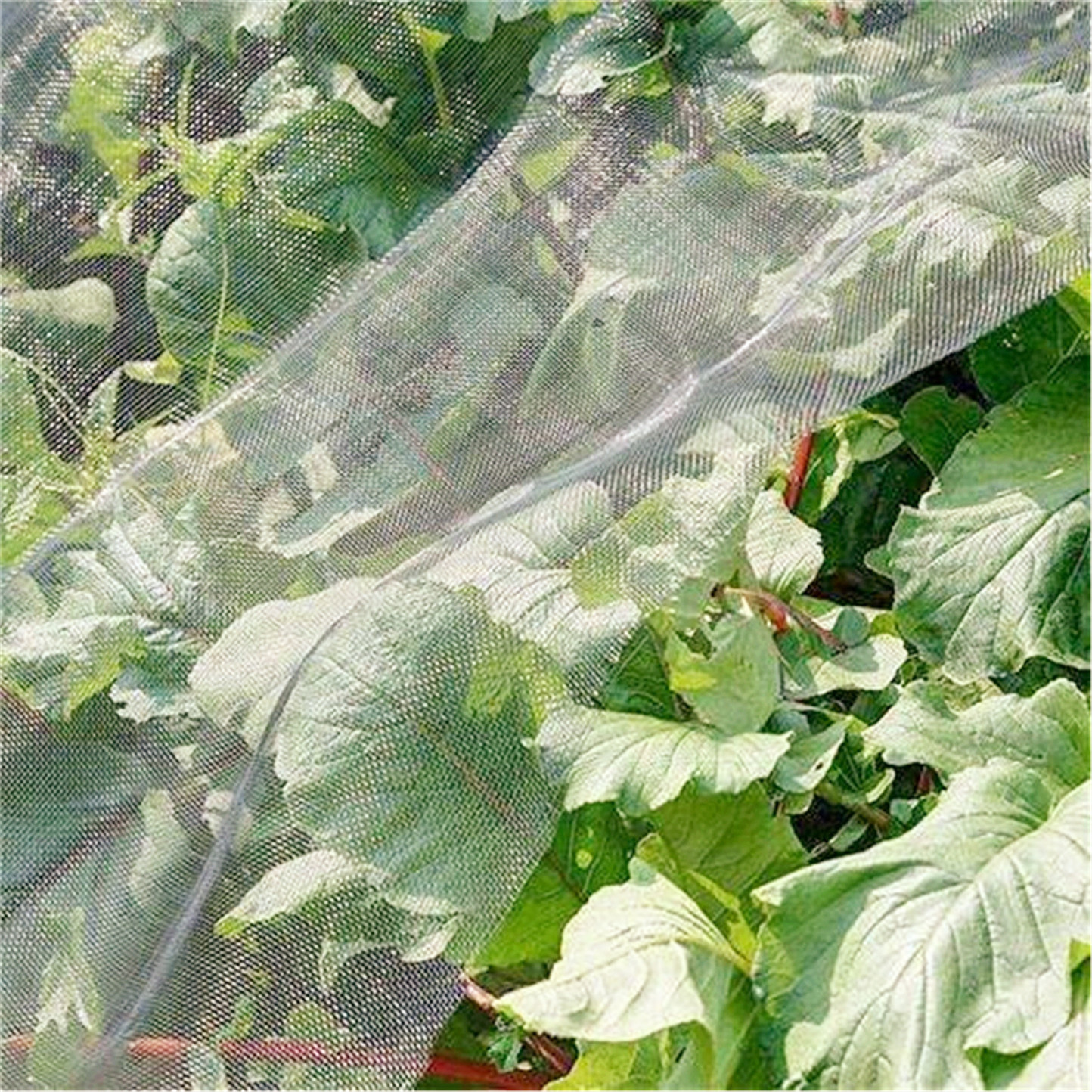 plastic anti insect nets for greenhouse