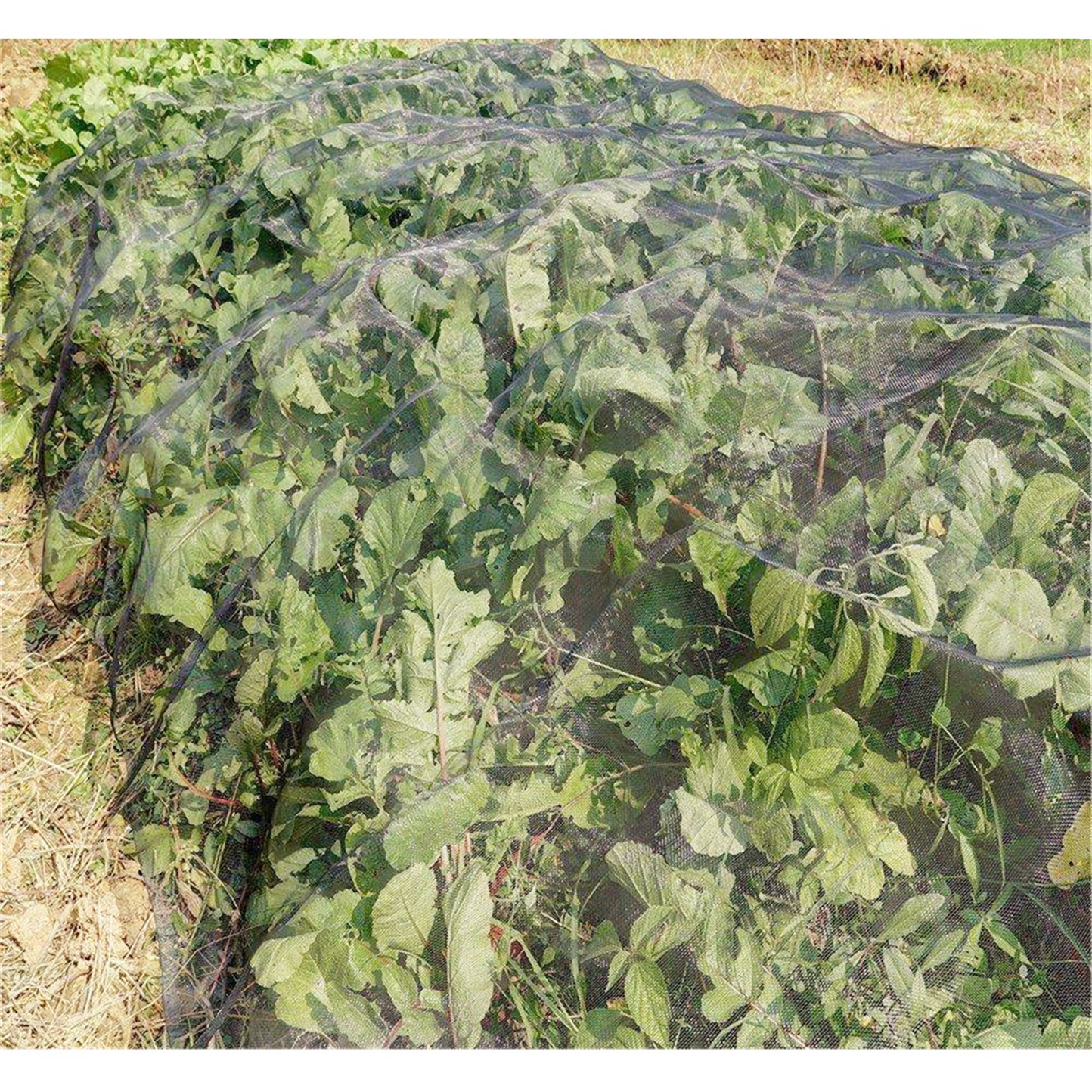 Inseto jardim net / estufa anti inseto líquido / líquido anti agrícola