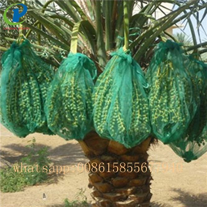 PE monofilament date palm bag with strong black rope