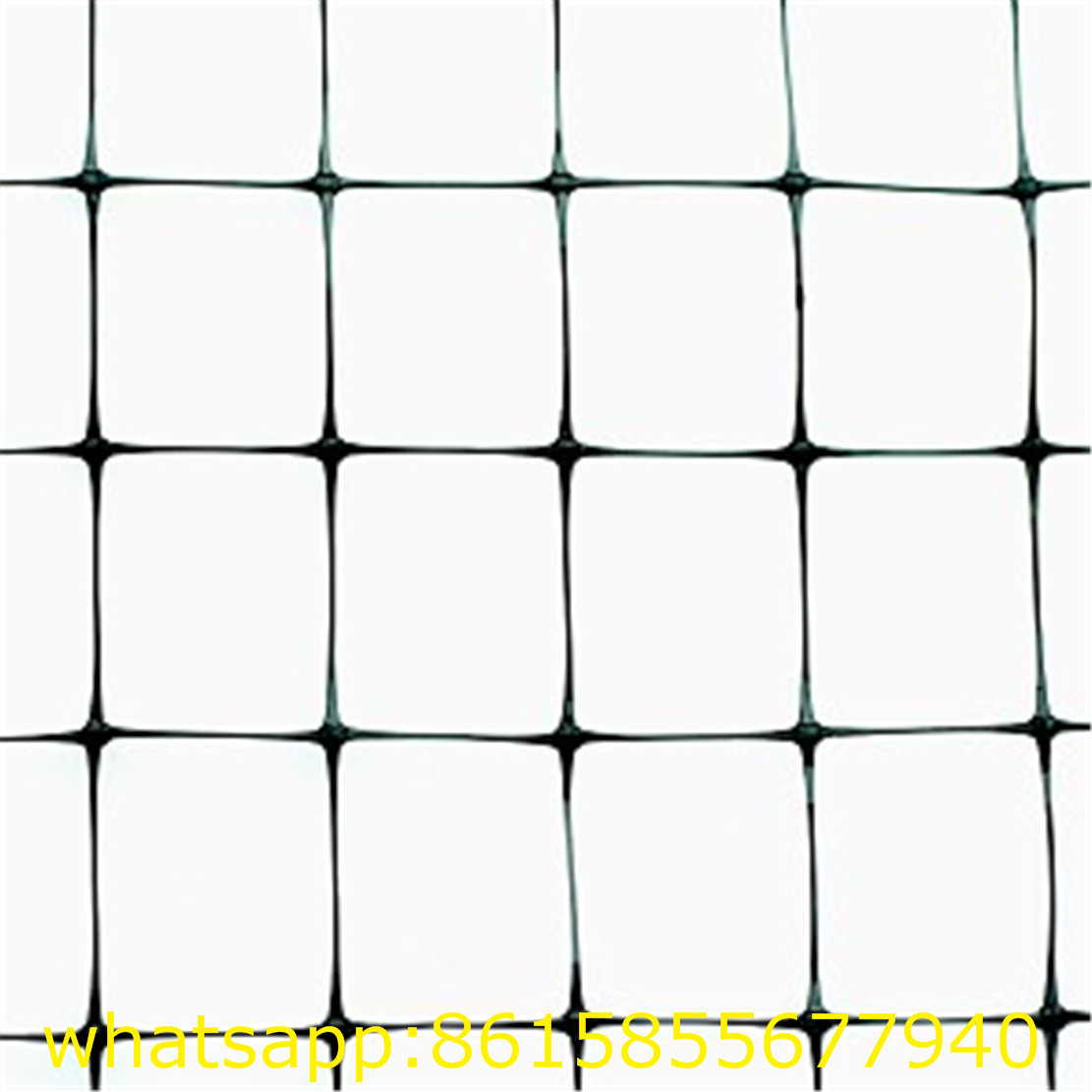 PP Net/Plastic Deer Fence/Plastic Garden Anti Mole Net Fence