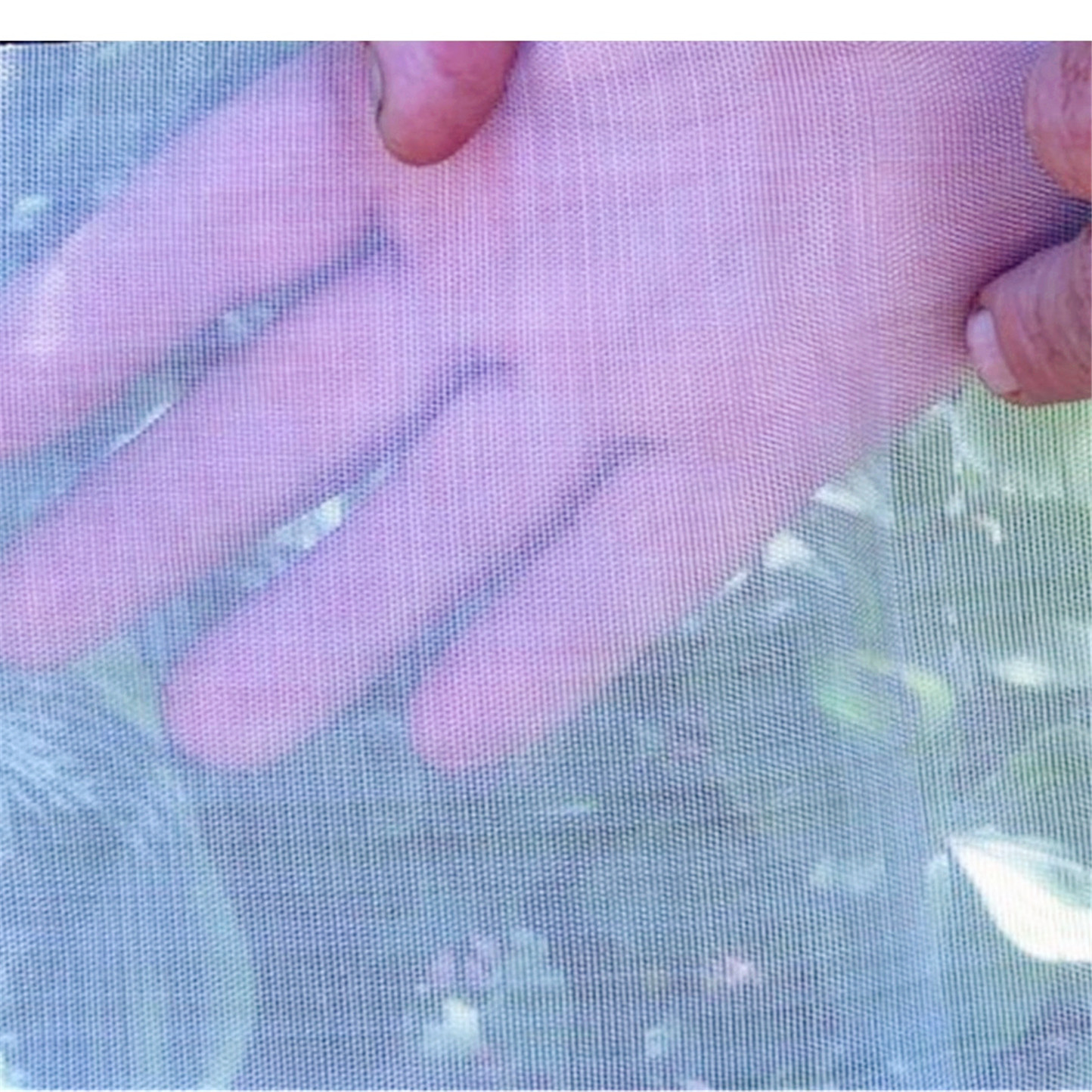 Chinese supplier of UV ANTI-INSECT NET