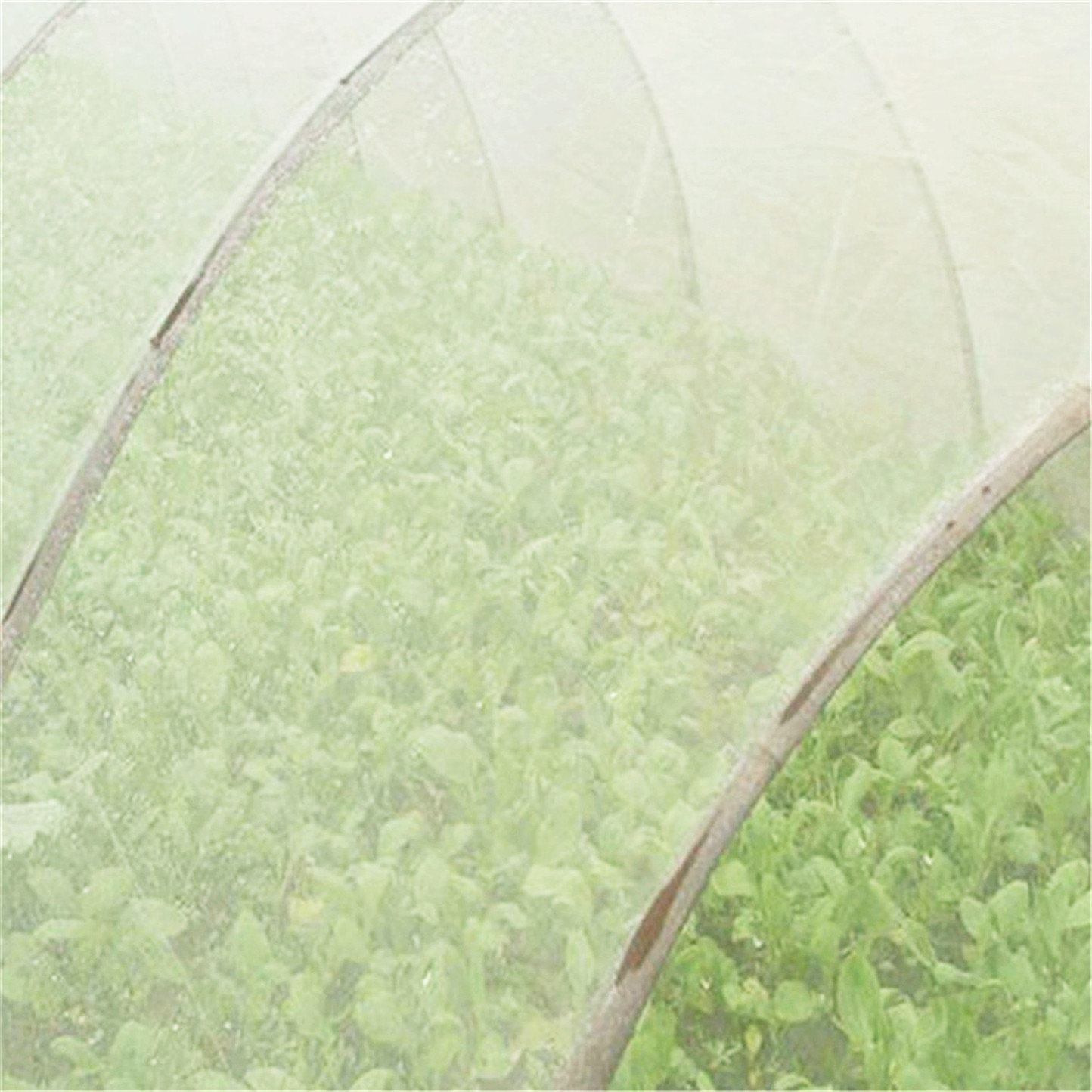 UV Treated HDPE material anti bee net, anti insect net