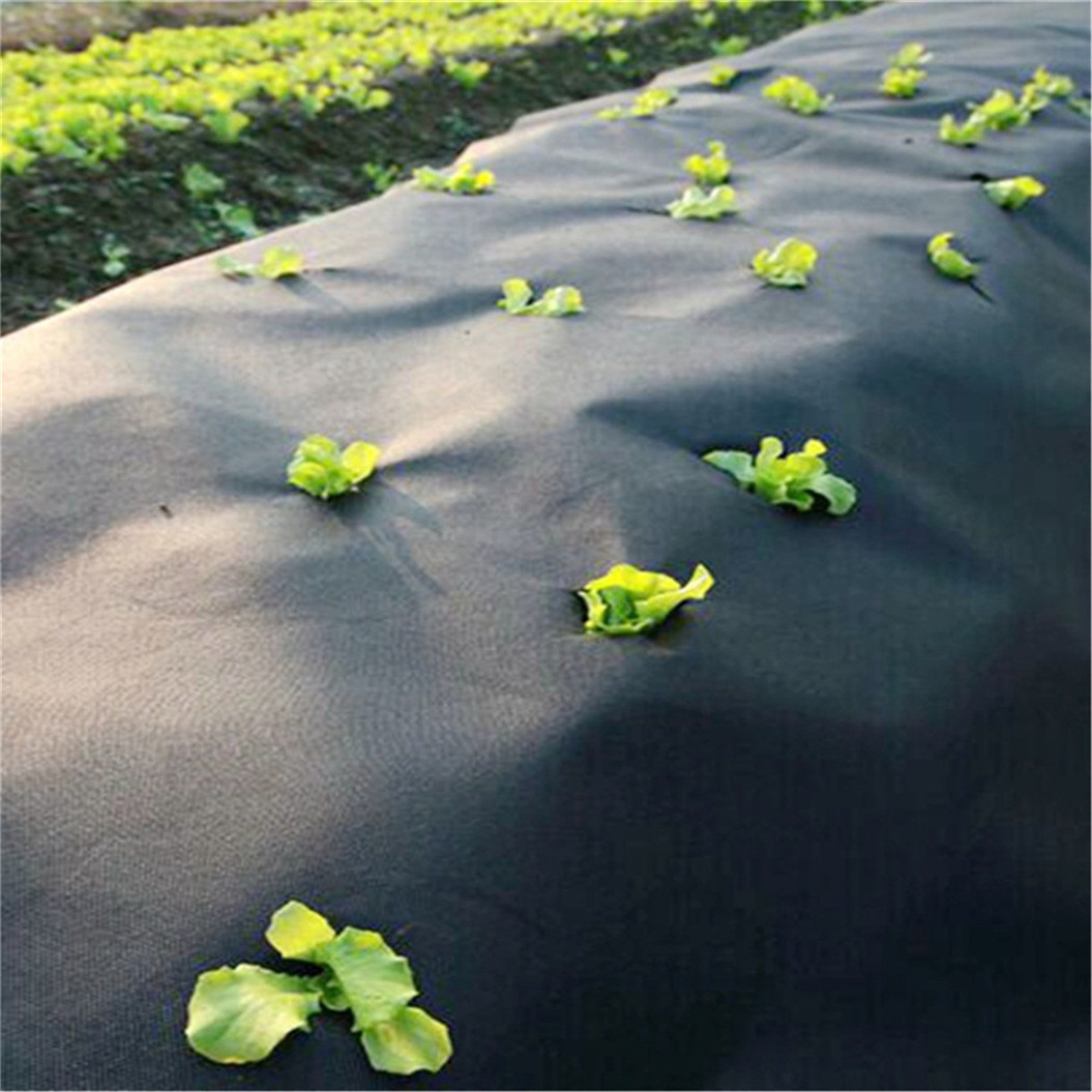 PP PE Black Weed Mat Antigrass Cloth Ground Cover Weed Barrier Weed