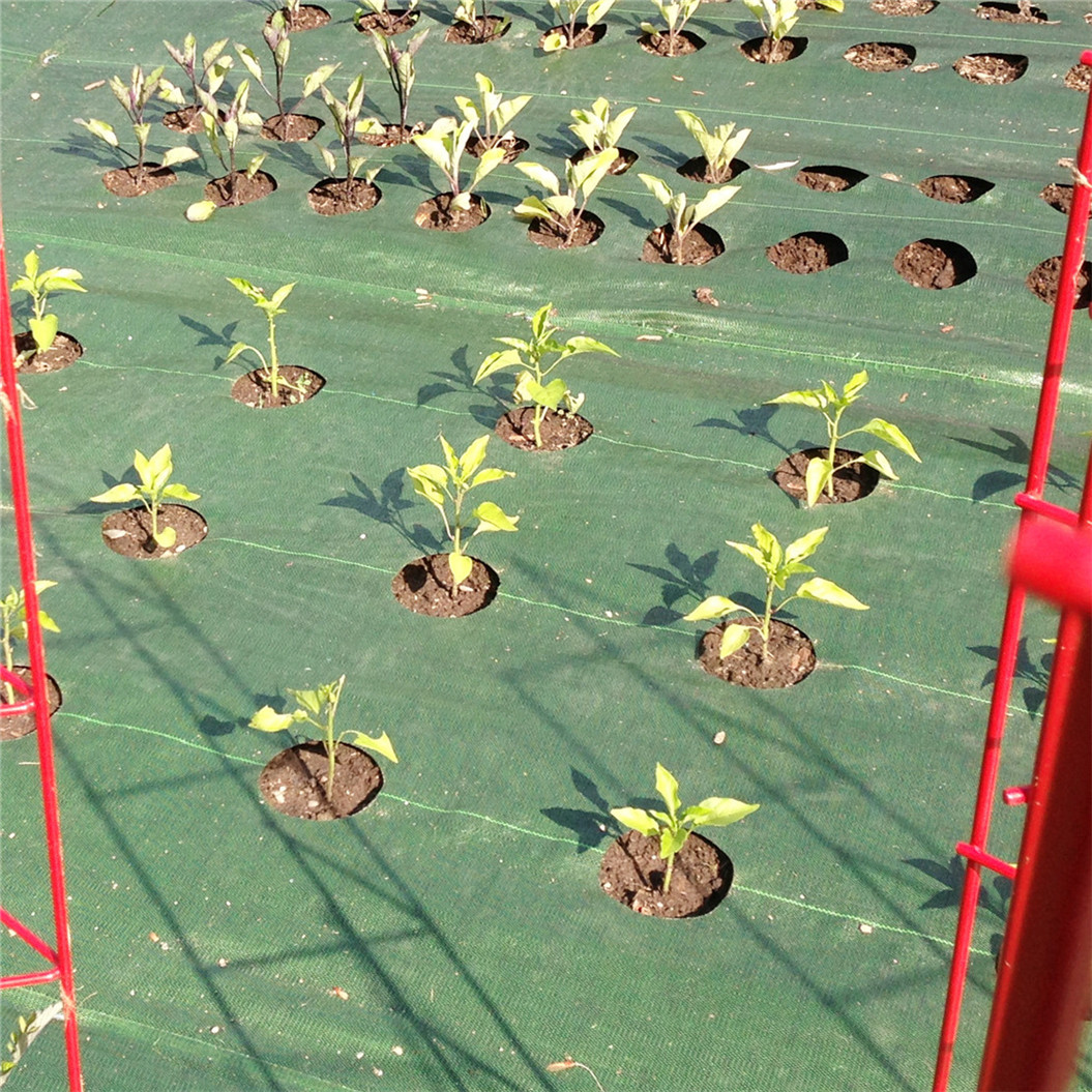 Weed Control Membrane, Garden Mats