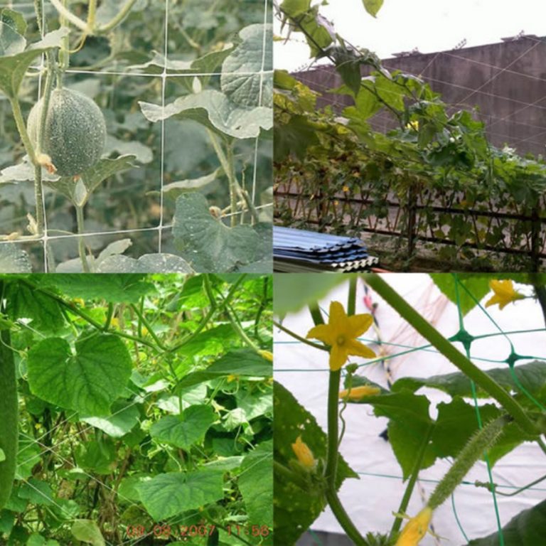 Red de soporte de plantas de PE, red para trepar plantas,red enrejada