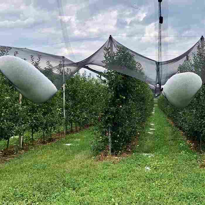 we are one leading manufacturer of anti hail net, anti hail netting, anti bee netting, anti bee net in China