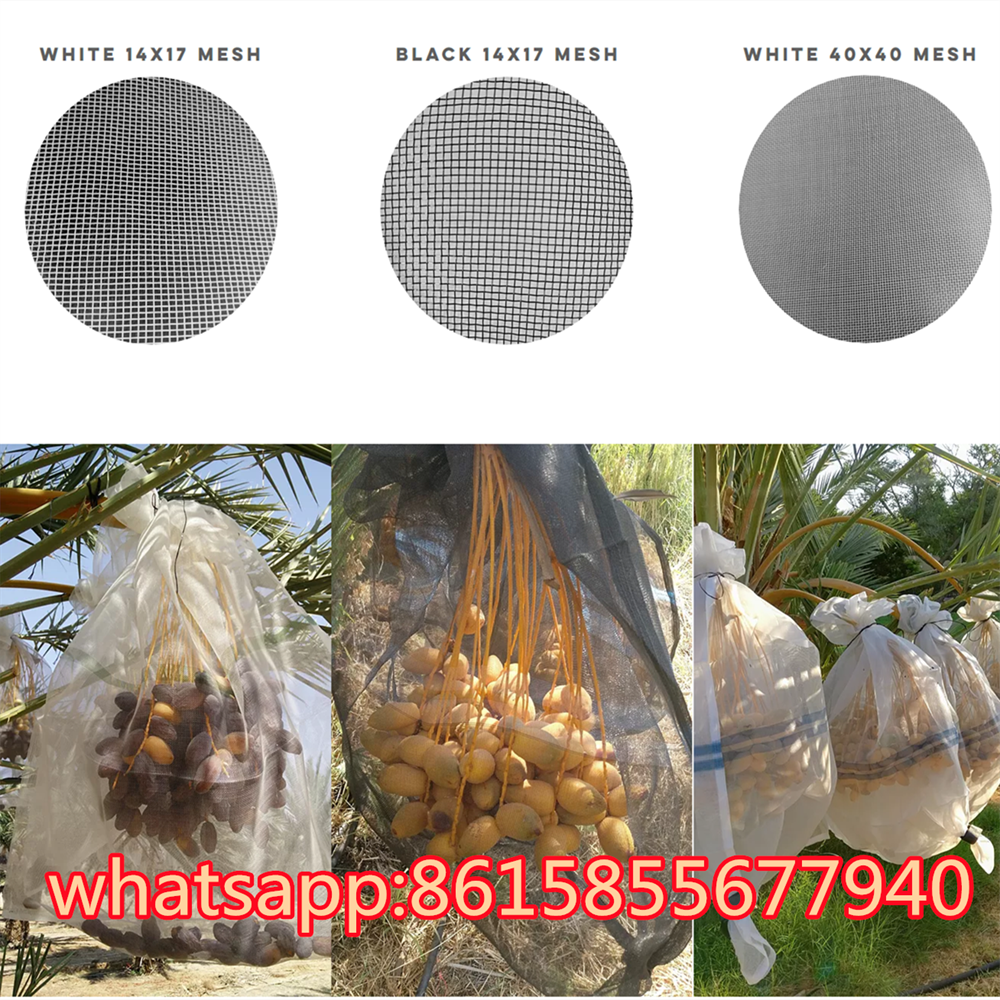 Date Palm Tree Mesh Bag Manufacturer – PE White/ Black Date Harvest Mesh  Net BagDate Palm Tree Mesh Bag Manufacturer – PE White/ Black Date Harvest Mesh Net Bag